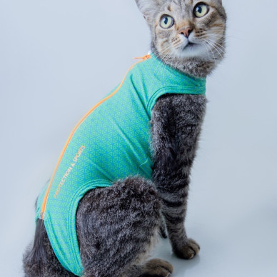 Îmbrăcăminte de Protecție UltraTech – Exclusiv pentru Pisici Nr. 3 Verde (UV 50 plus, Antimicrobian, Dry)